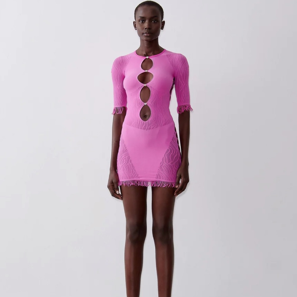 Never Worn Poster Girl Miranda Dress Pink